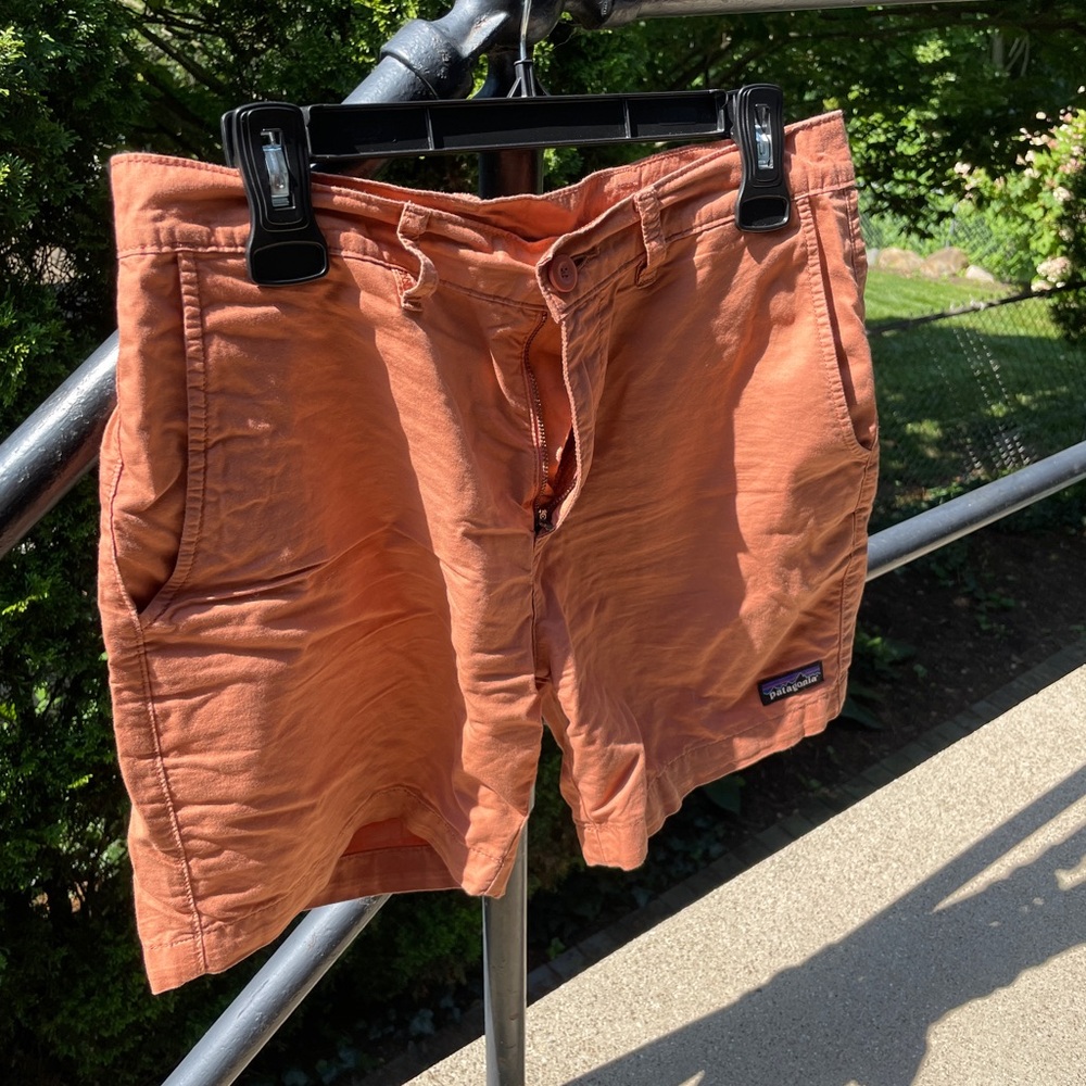 Patagonia Baggies Shorts